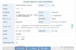 医疗保险查询个人账户,医疗保险个人账户查询指南”