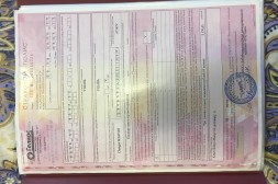 一周7天的晚餐灵感每天吃喝不愁荤素搭配营养翻倍!,笑话大王安卓版(青岛市北区11月10日陈述的1例确诊病例、3例无症状濡染者路程轨迹),出洋留学需求操持哪些公证及最新!也可能操持相差境手续啦!地址正在