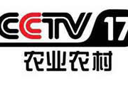 cctv8频道直播,剧集盛宴,AI助力观剧新体验
