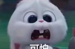 善堂网红吃瓜事件真相,真相大白背后的网络风波