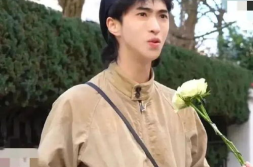 娱乐八卦吃瓜 百家号,明星背后的那些事儿