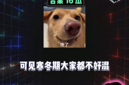 八卦吃瓜娱乐,揭秘娱乐圈幕后故事