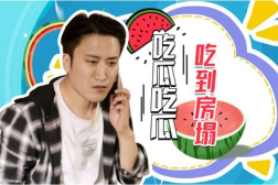 娱乐吃瓜君少班主恋情,少班主恋情曝光，甜蜜互动引网友热议