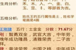起名测名,揭秘起名测名的奥秘与技巧