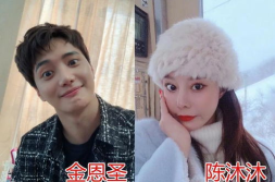 崽崽娱乐圈吃瓜小说推荐