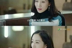 吃瓜小说娱乐圈柳小八,娱乐圈的瓜田小仙女