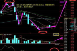 300233股票,股价小幅波动,涨跌幅0.56%