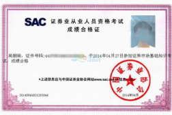 证券从业资格查询,权威途径与操作步骤详解